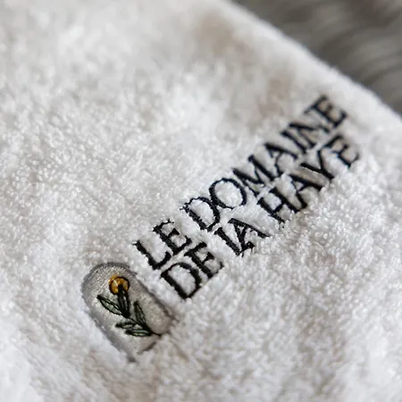 Le Domaine De La Haye D'hotes 4* Saint-Christophe-du-Bois