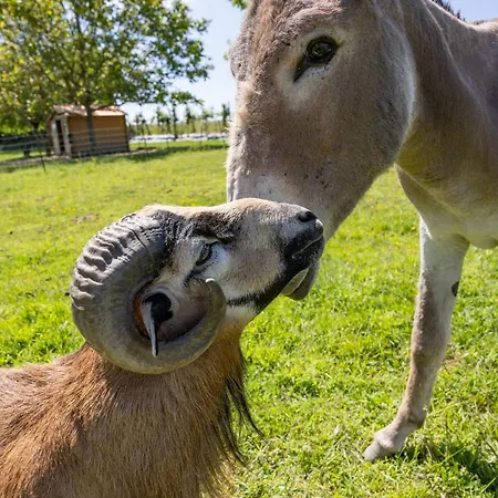 B&B Le Domaine De La Haye D'hotes Saint-Christophe-du-Bois